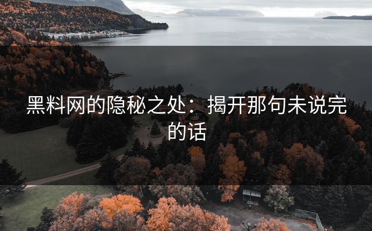 黑料网的隐秘之处:揭开那句未说完的话