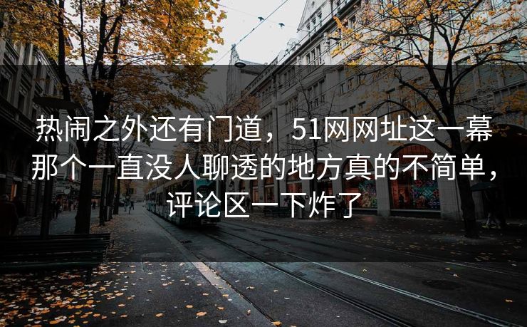 热闹之外还有门道，51网网址这一幕那个一直没人聊透的地方真的不简单，评论区一下炸了